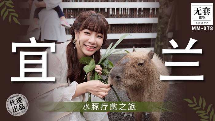 宜兰水豚疗愈之旅